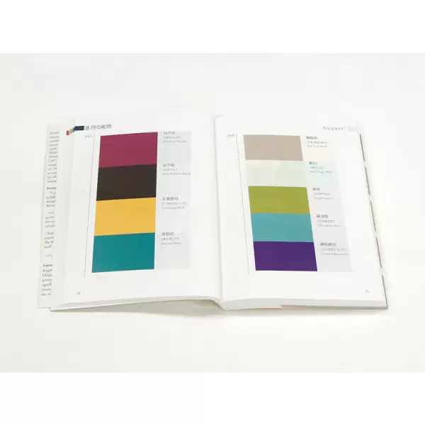New Mags - A Dictionary of Color Combinations - Volume 2