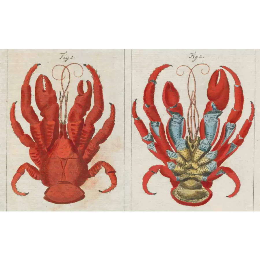 New Mags -  John Derian Picture Book