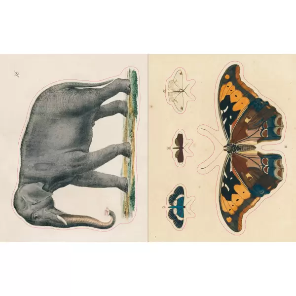 New Mags - John Derian Sticker Book