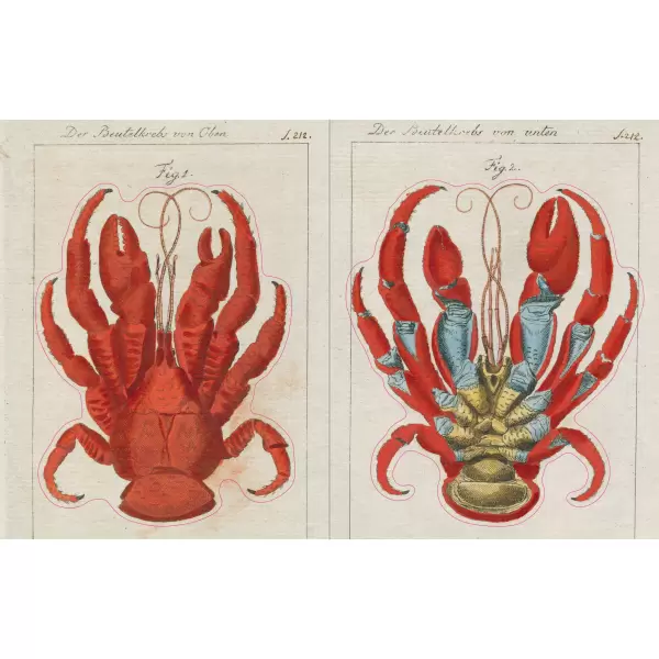 New Mags - John Derian Sticker Book