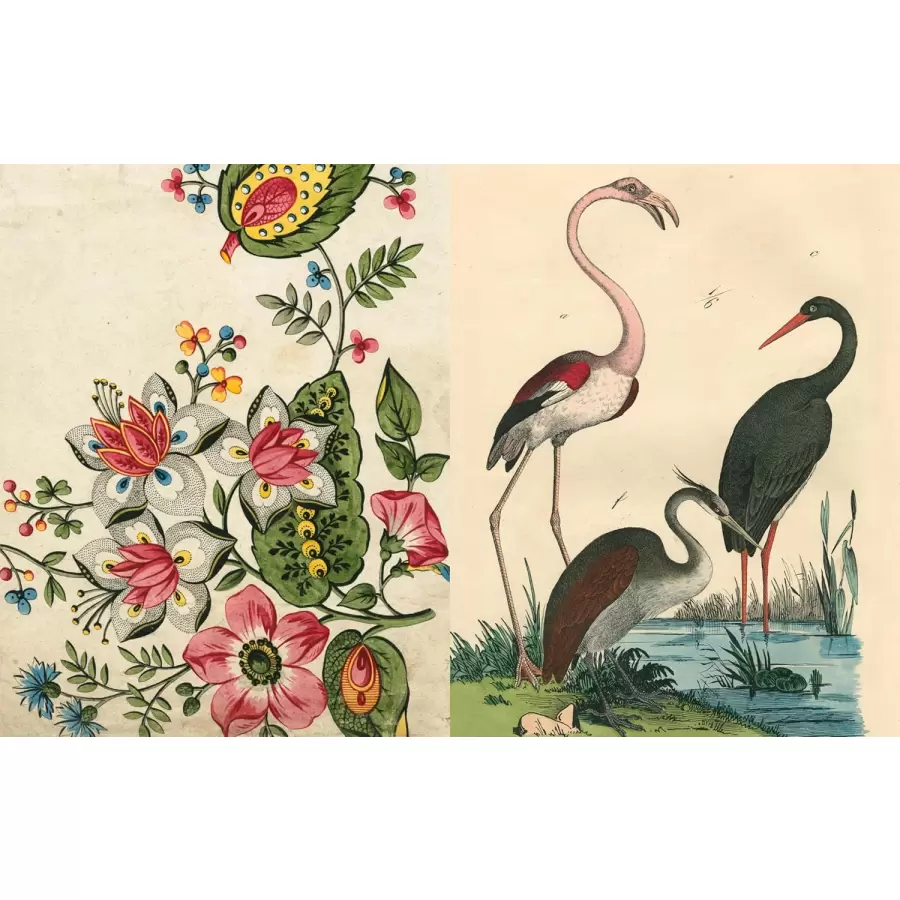 New Mags -   John Derian Picture Book II