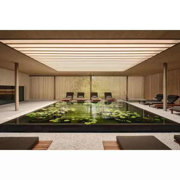 New Mags -  Designed to Stay