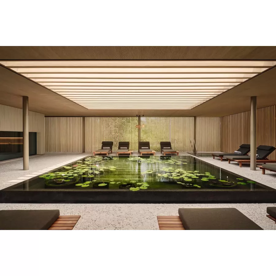 New Mags -  Designed to Stay