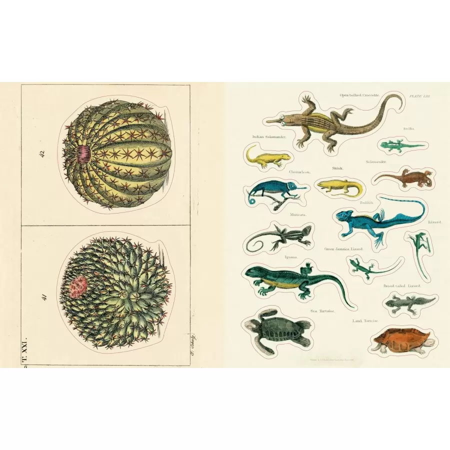 New Mags -   John Derian Sticker Book II