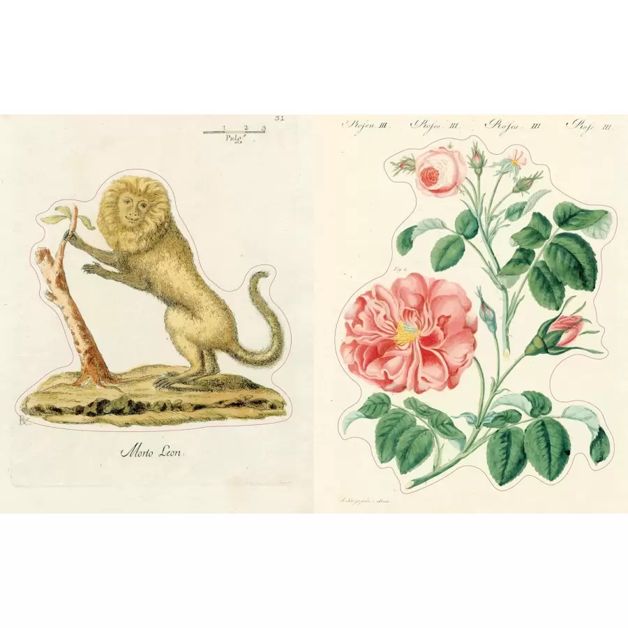 New Mags -   John Derian Sticker Book II