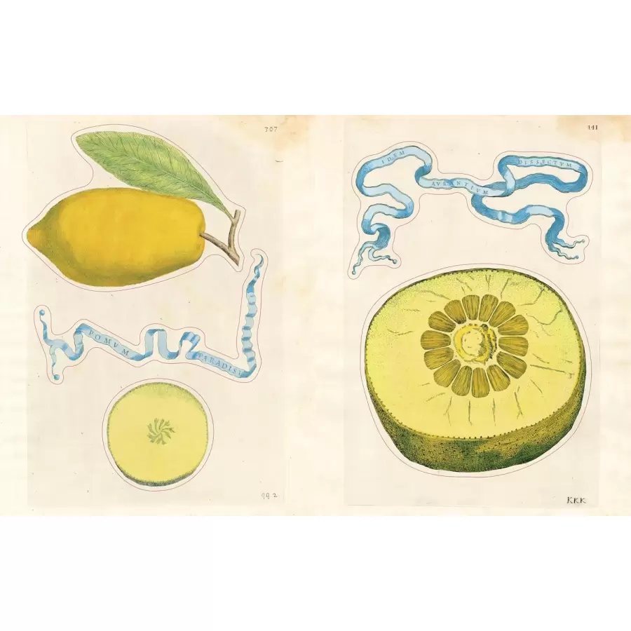 New Mags -   John Derian Sticker Book II