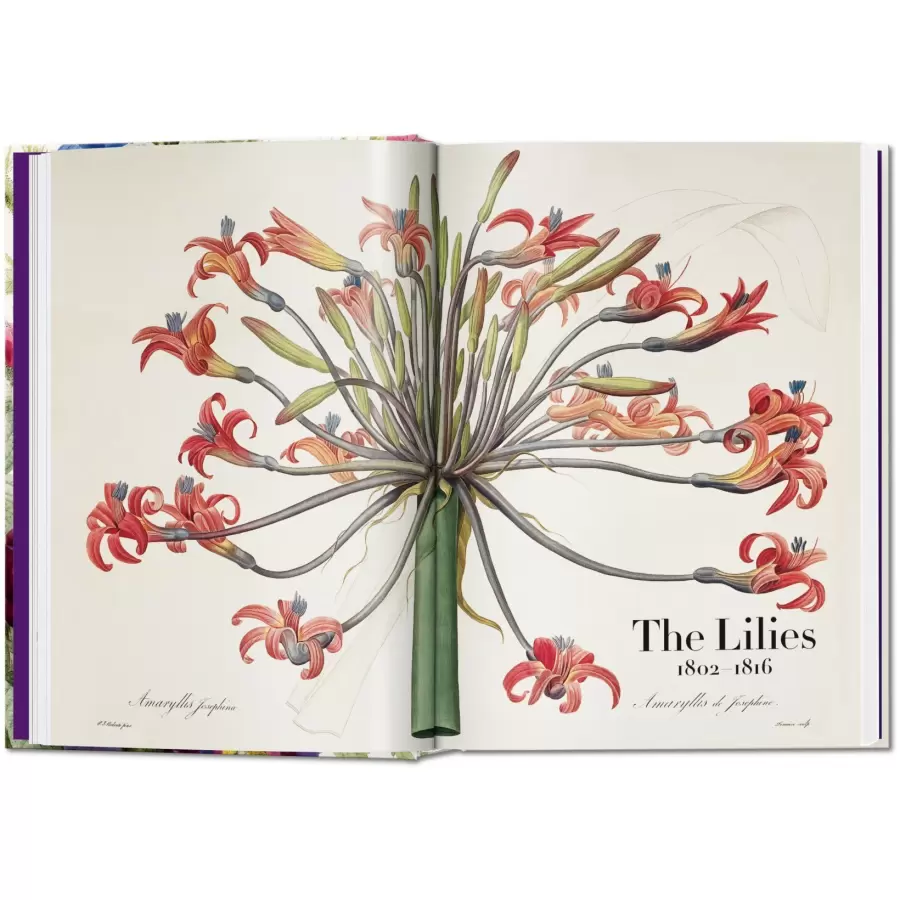 New Mags - Redouté Book of Flowers. 40th. Edt.