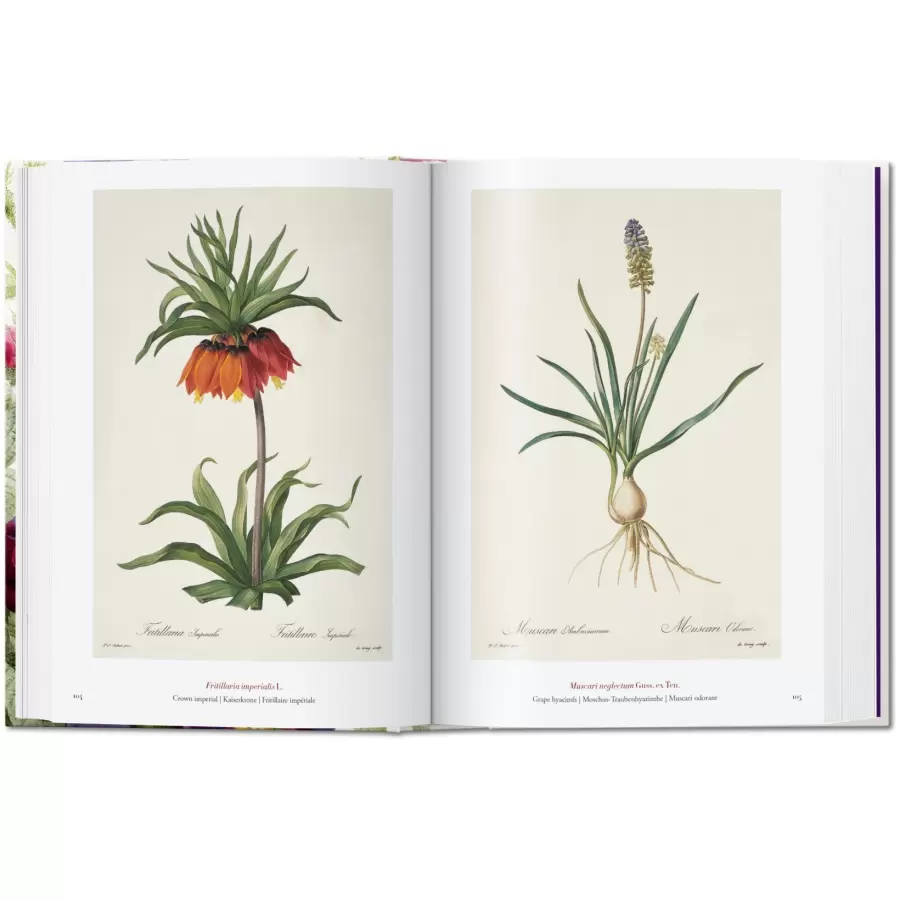 New Mags - Redouté Book of Flowers. 40th. Edt.