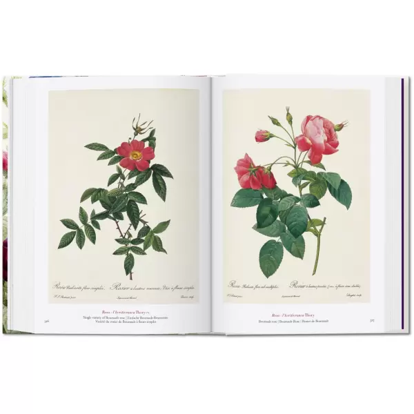 New Mags - Redouté - Book of Flowers. 40th Edt. New Mags - Redouté - Book of Flowers. 40th Edt.
