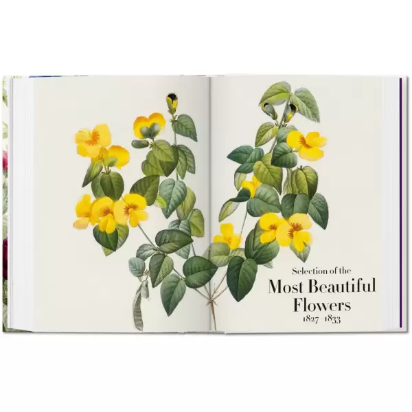New Mags - Redouté - Book of Flowers. 40th Edt. New Mags - Redouté - Book of Flowers. 40th Edt.