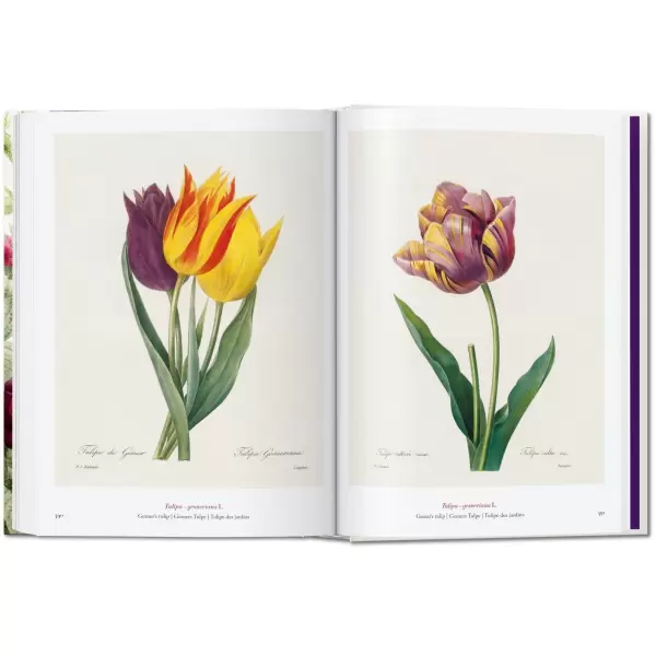 New Mags - Redouté Book of Flowers. 40th. Edt.