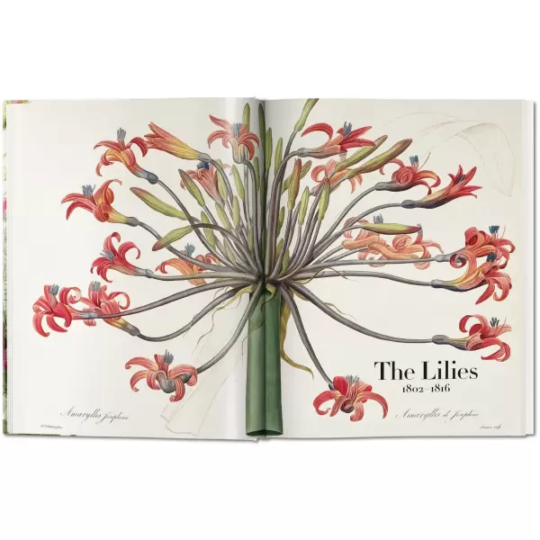 New Mags - Book of Flowers - Redouté