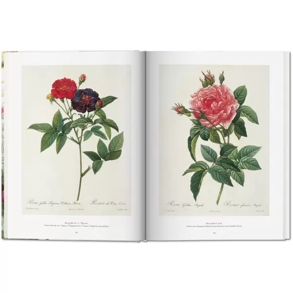 New Mags - Book of Flowers - Redouté