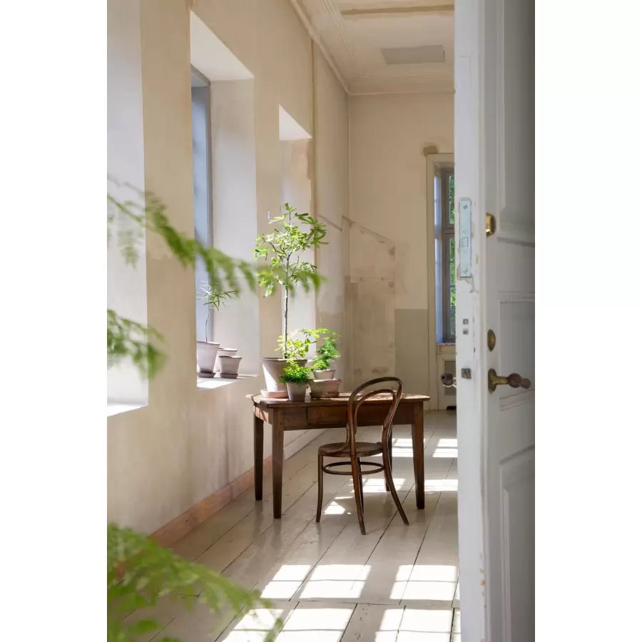 Bergs Potter - Ø:50 Krukke Flora Uglaseret, Grå - Hent selv