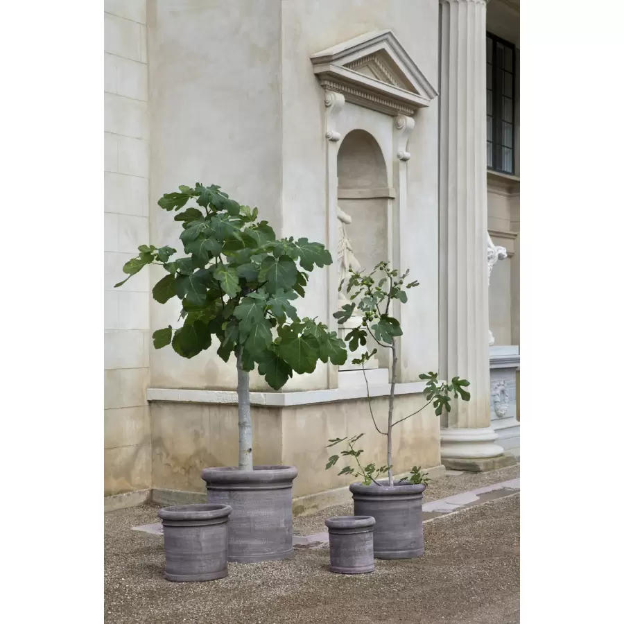 Bergs Potter - Cilindro Rå Grå, Ø 50 cm, Potte