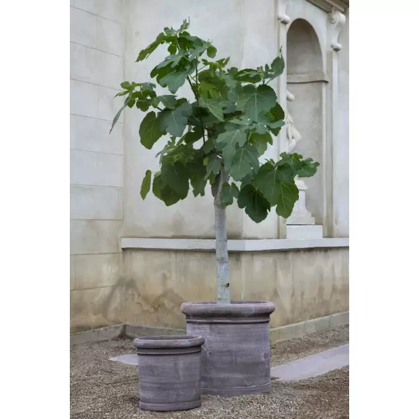 Bergs Potter - Ø:50 Krukke Cilindro Uglaseret, Grå - Hent selv Bergs Potter - Ø:50 Krukke Cilindro Uglaseret, Grå - Hent selv