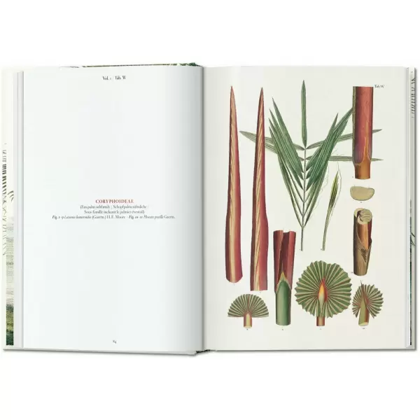 New Mags - The Book of Palms. 40th Edt. New Mags - The Book of Palms. 40th Edt.