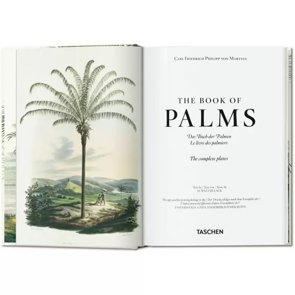 New Mags - The Book of Palms. 40th Edt. New Mags - The Book of Palms. 40th Edt.