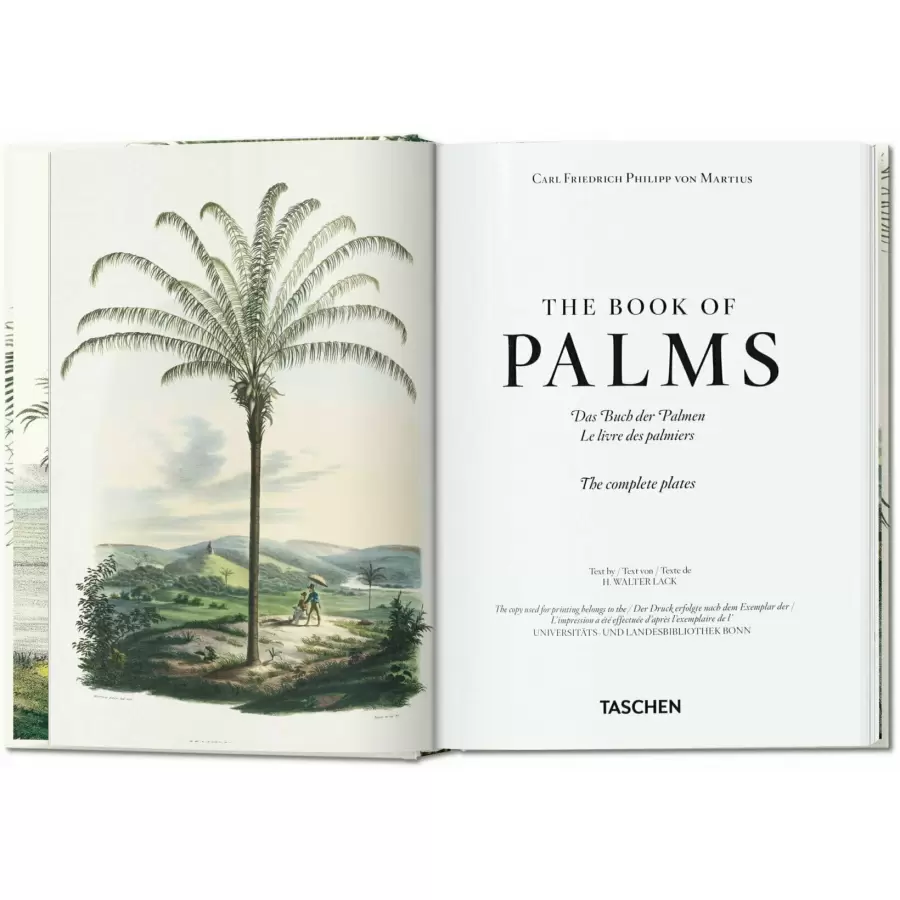 New Mags - The Book of Palms. 40th Edt.