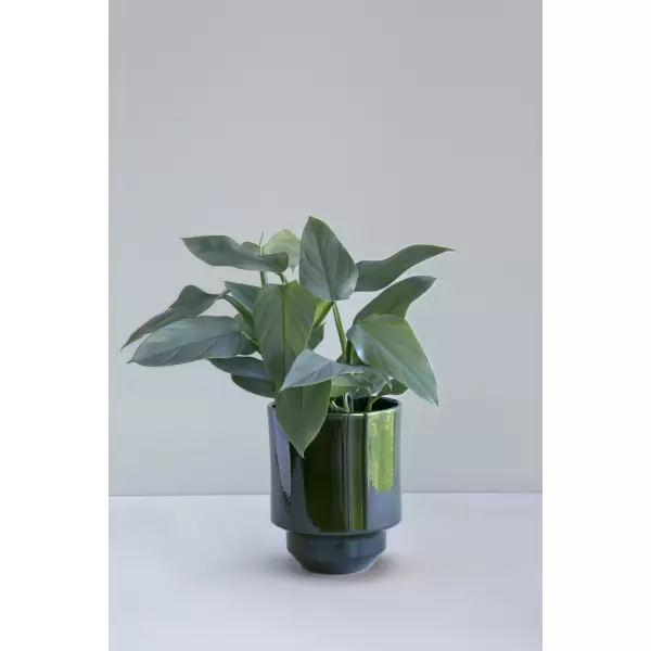 Bergs Potter - Ø:14 Krukke The Hoff Glaseret, Emerald Green - UDEN HUL