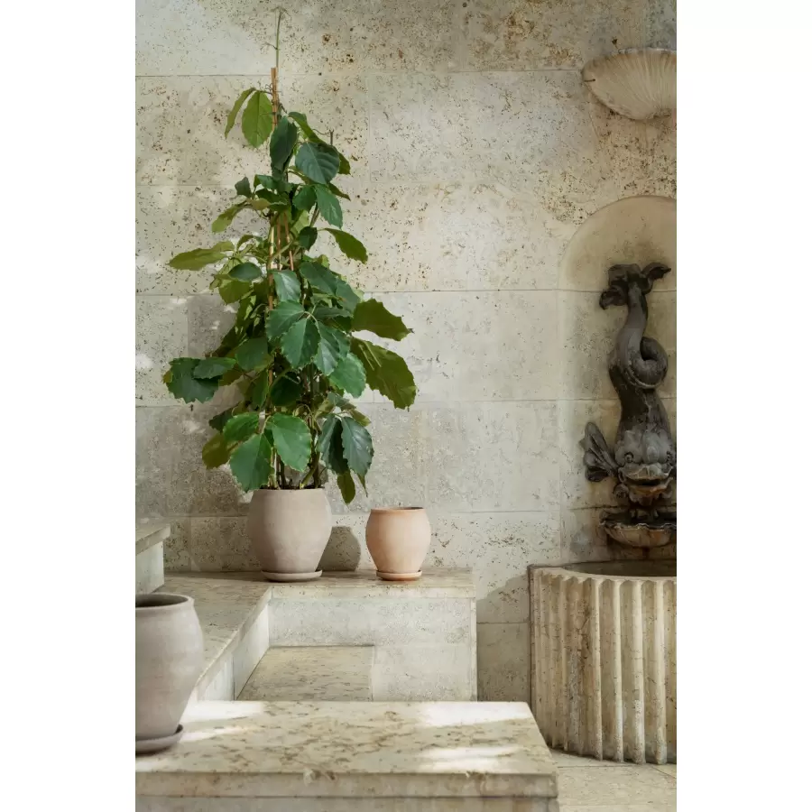 Bergs Potter - Ø:26 Krukke Delphi Uglaseret, Grå - Hent selv