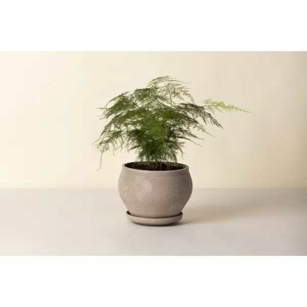 Bergs Potter - Ø:24 Delphi Low Uglaseret, Grå - Hent selv