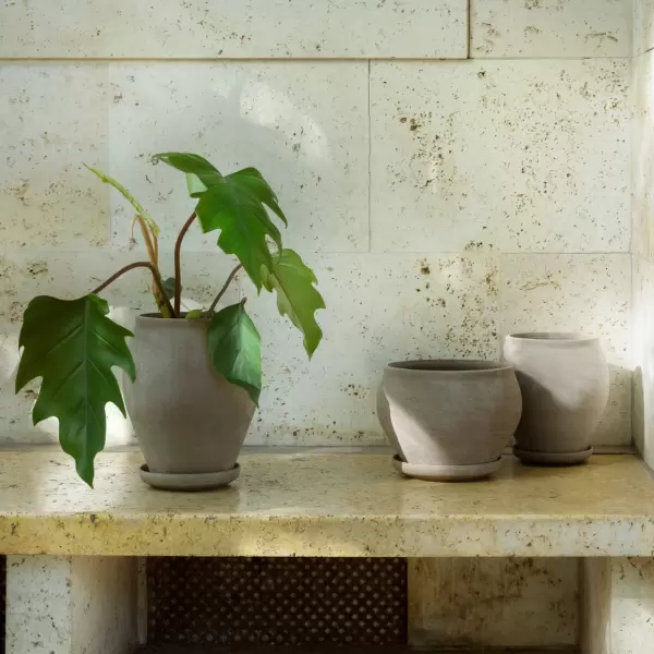 Bergs Potter - Ø:22 Delphi Tall Uglaseret, Grå - Hent selv