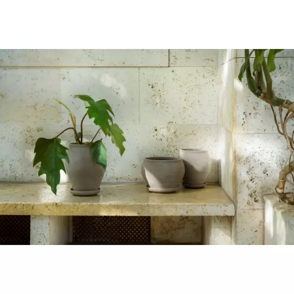 Bergs Potter - Ø:22 Delphi Tall Uglaseret, Grå - Hent selv Bergs Potter - Ø:22 Delphi Tall Uglaseret, Grå - Hent selv