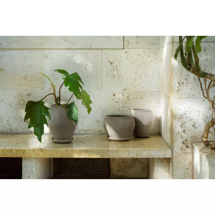 Bergs Potter - Ø:22 Delphi Tall Uglaseret, Grå - Hent selv