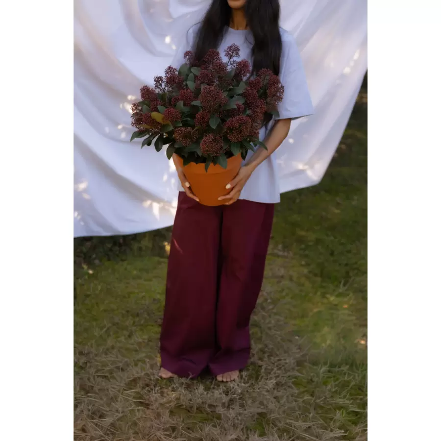 Bongusta - Sahej, Pants, Wine