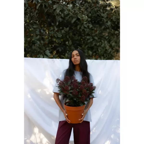 Bongusta - T-shirt, lavender blue