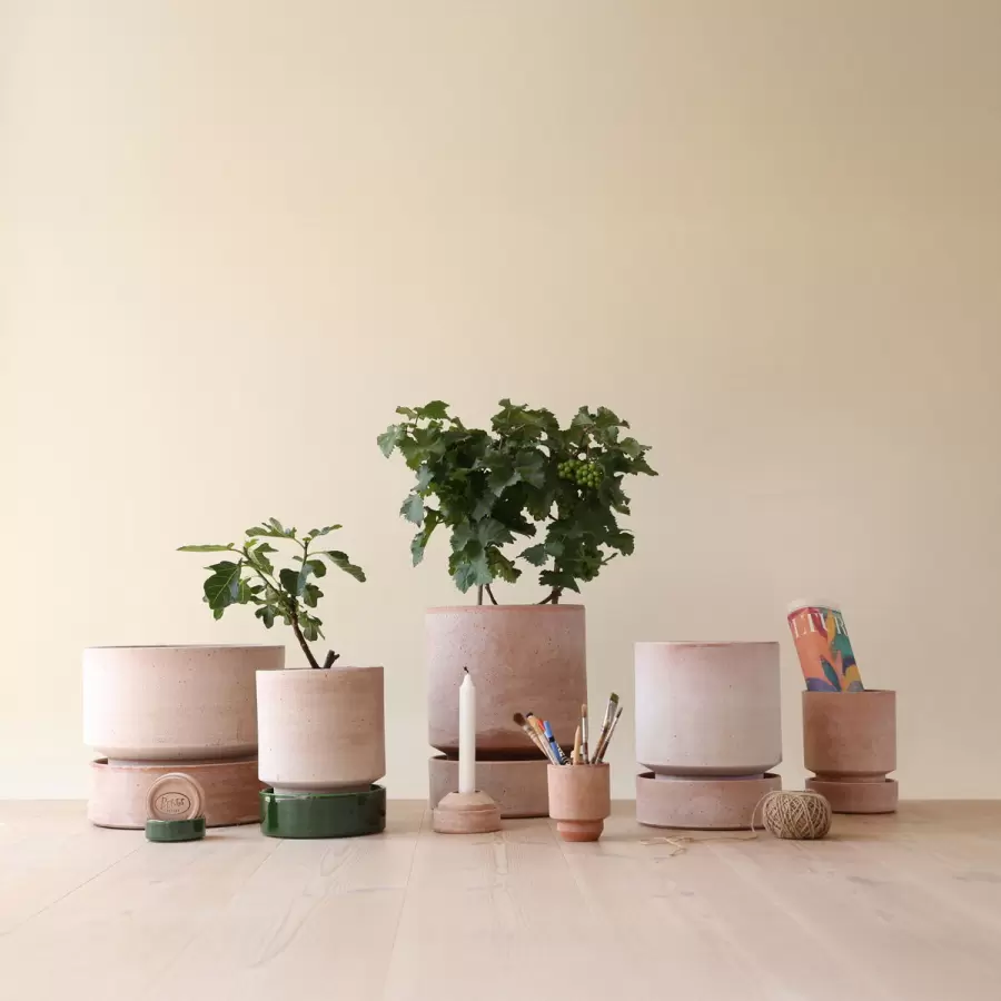 Bergs Potter - Ø:30 Sæt The Hoff Pot Rosa, med underskål - Hent selv 