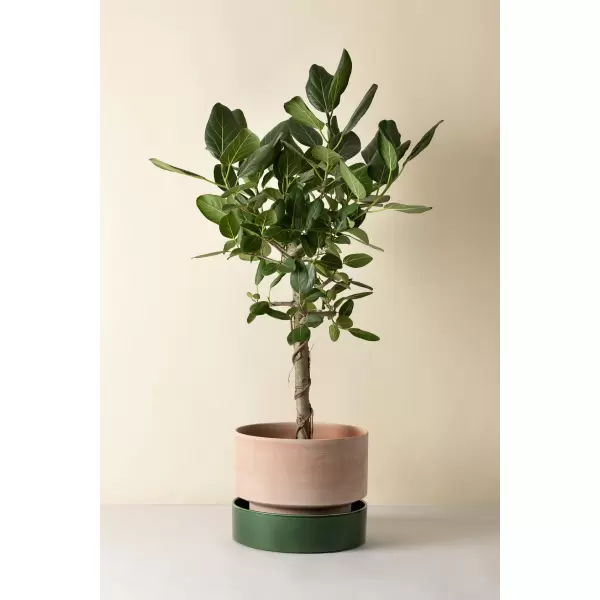 Bergs Potter - Ø:40 The Hoff Sæt, Rå Rosa og Glaseret Emerald Green - Hent selv Bergs Potter - Ø:40 The Hoff Sæt, Rå Rosa og Glaseret Emerald Green - Hent selv