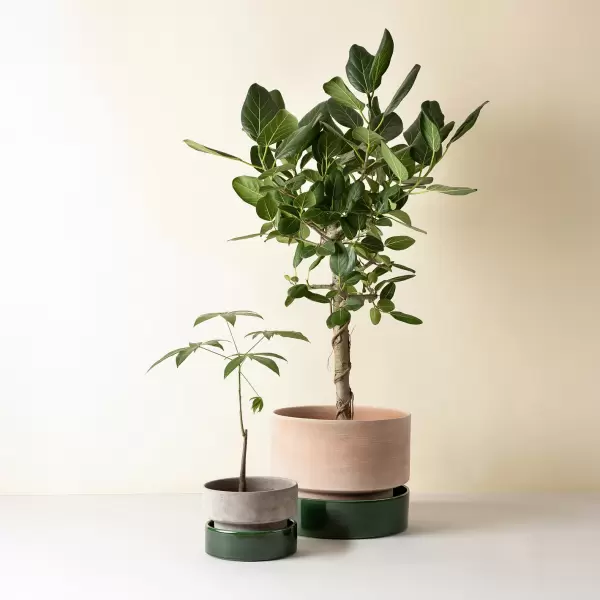 Bergs Potter - Ø:40 The Hoff Sæt, Rå Rosa og Glaseret Emerald Green - Hent selv Bergs Potter - Ø:40 The Hoff Sæt, Rå Rosa og Glaseret Emerald Green - Hent selv