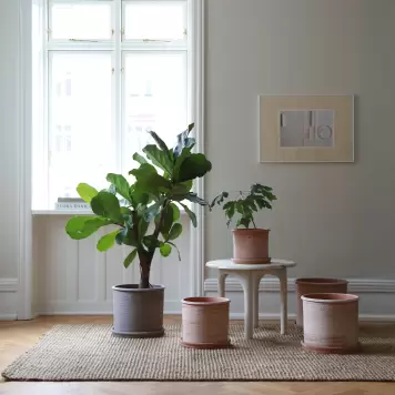 Bergs Potter - Ø:30 Modena Rå, Grå - Hent selv