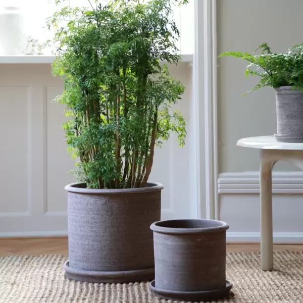 Bergs Potter - Ø:30 Modena Rå, Grå - Hent selv