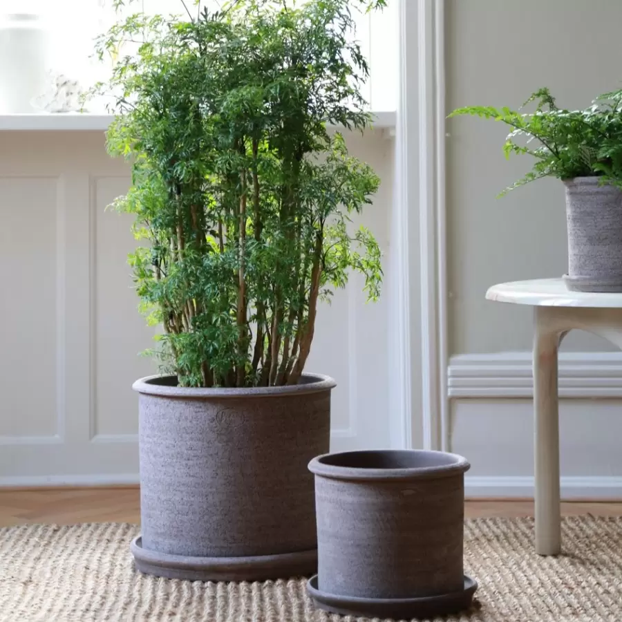 Bergs Potter - Ø:30 Modena Rå, Grå - Hent selv