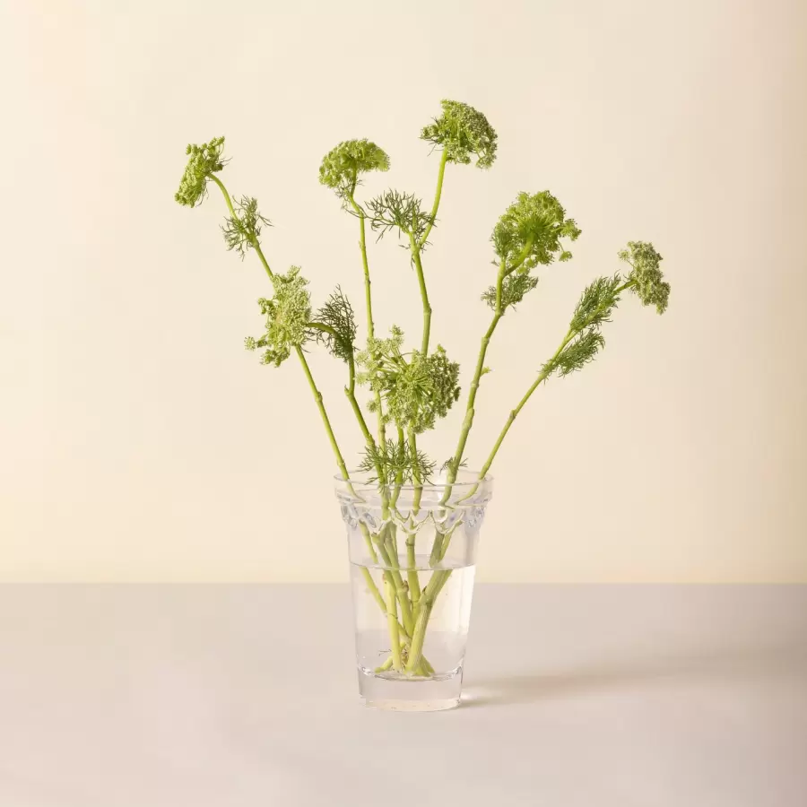 Bergs Potter - Ø:11 Københavner Vase, Klart Glas