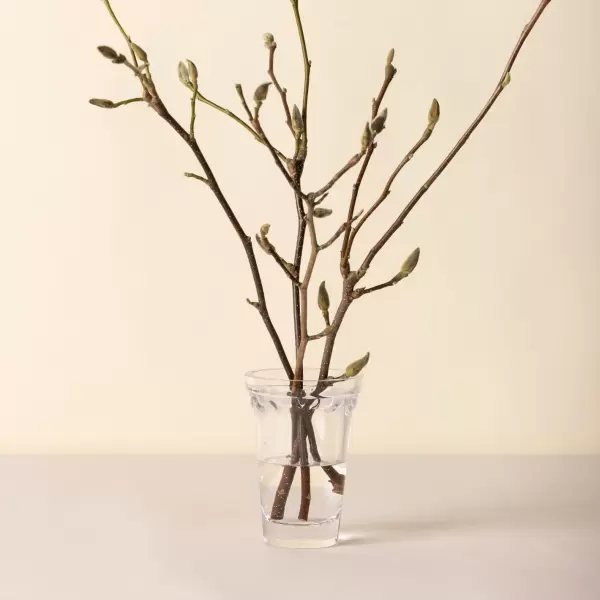 Bergs Potter - Ø:11 Københavner Vase, Klart Glas