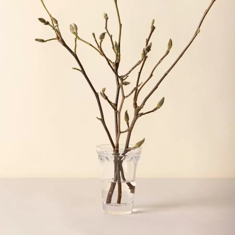 Bergs Potter - Ø:11 Københavner Vase, Klart Glas