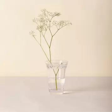 Bergs Potter - Ø:11 Københavner Vase, Klart Glas