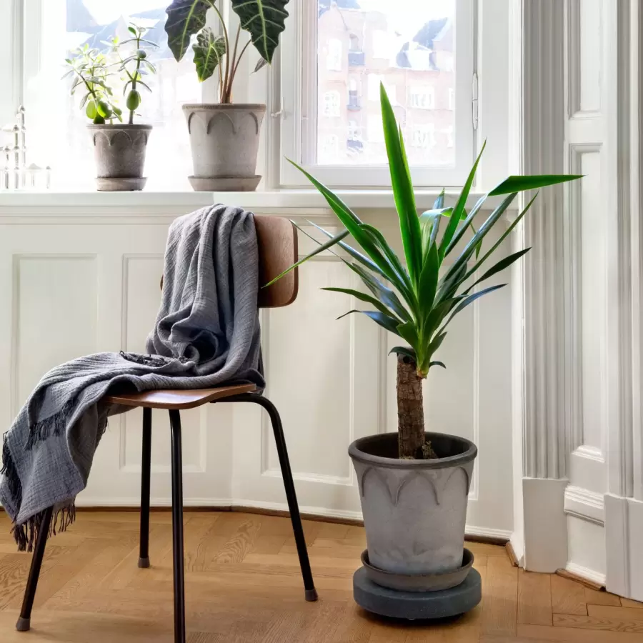 Bergs Potter - Ø:35 Plantetrolley Rolling Stone, Terrazzo Grå - Hent selv