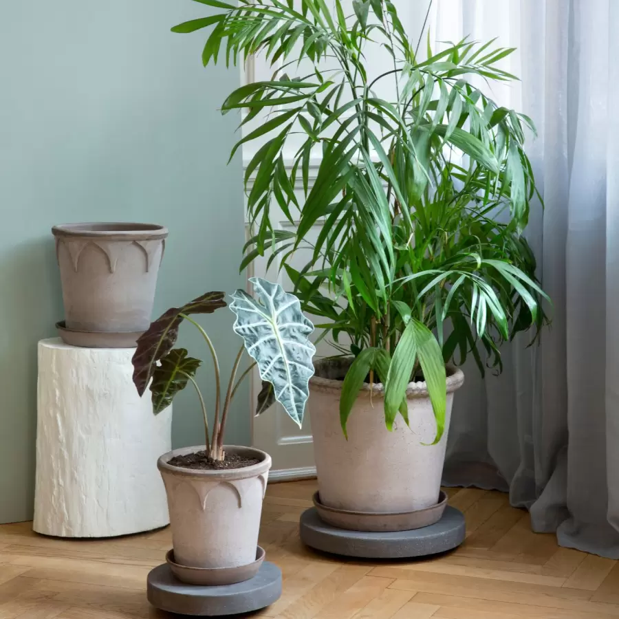 Bergs Potter - Ø:35 Plantetrolley Rolling Stone, Terrazzo Grå - Hent selv