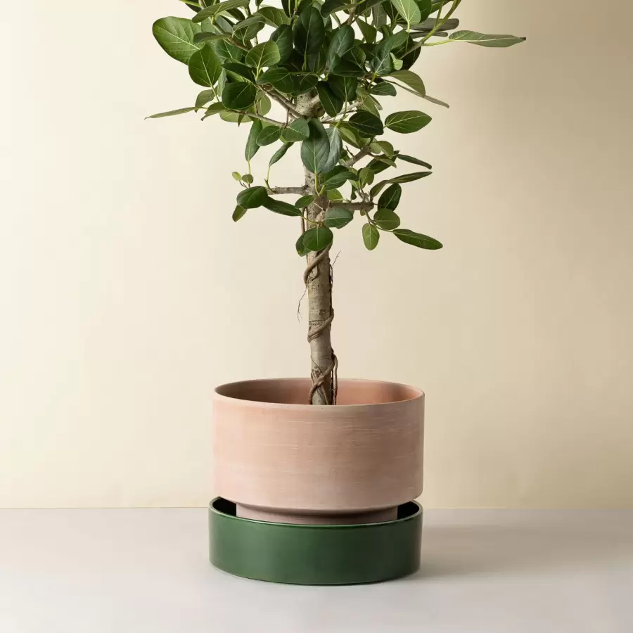 Bergs Potter - Ø:40 The Hoff Pot Uglaseret, Rosa - Hent selv