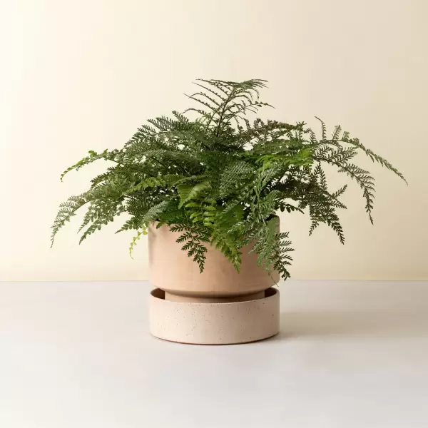 Bergs Potter - Ø:40 The Hoff Underskål, Uglaseret Rosa - Hent selv