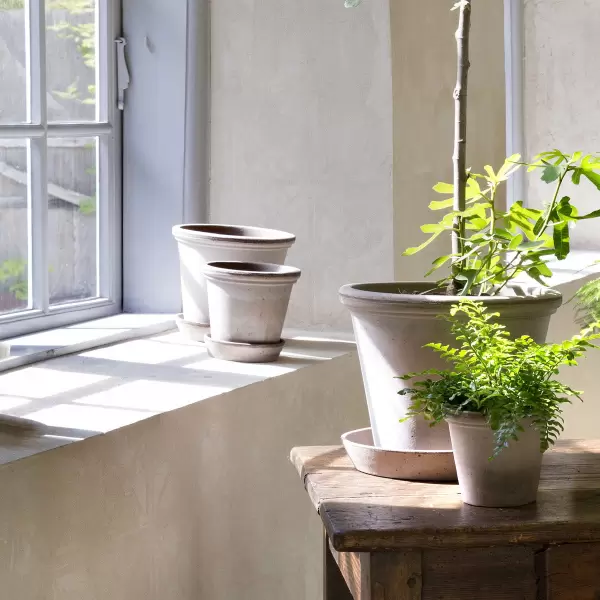 Bergs Potter - Ø:35 Flora Uglaseret, Grå - Hent selv Bergs Potter - Ø:35 Flora Uglaseret, Grå - Hent selv