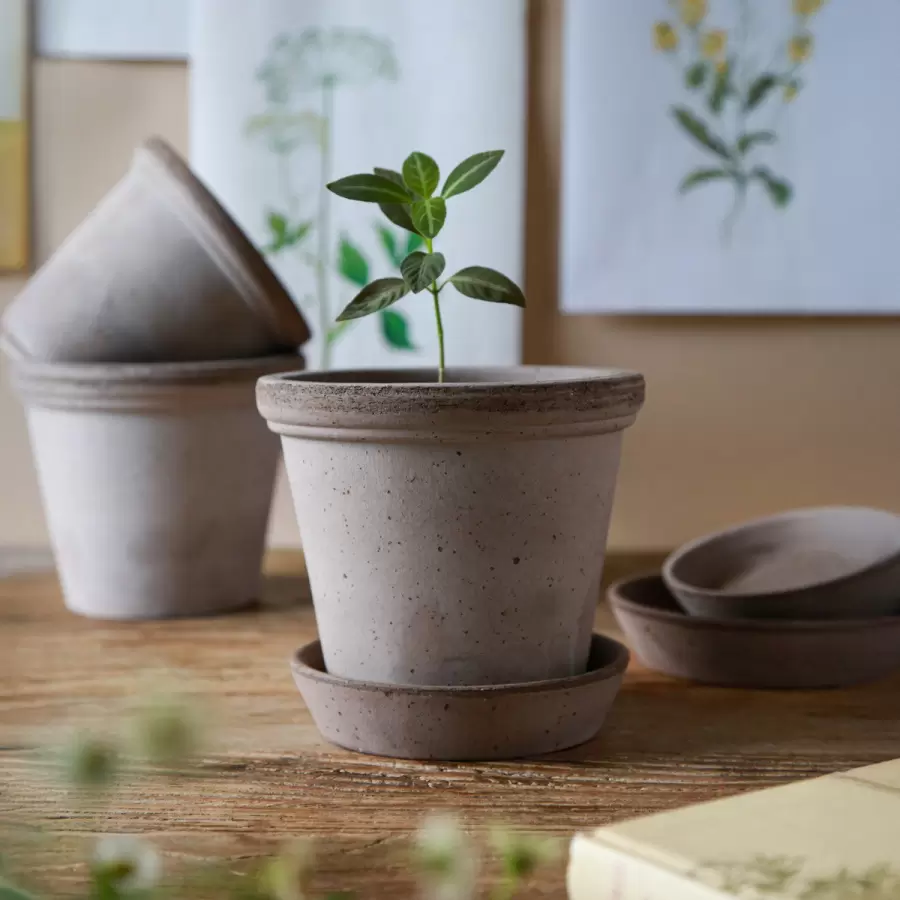 Bergs Potter - Ø:35 Flora Uglaseret, Grå - Hent selv