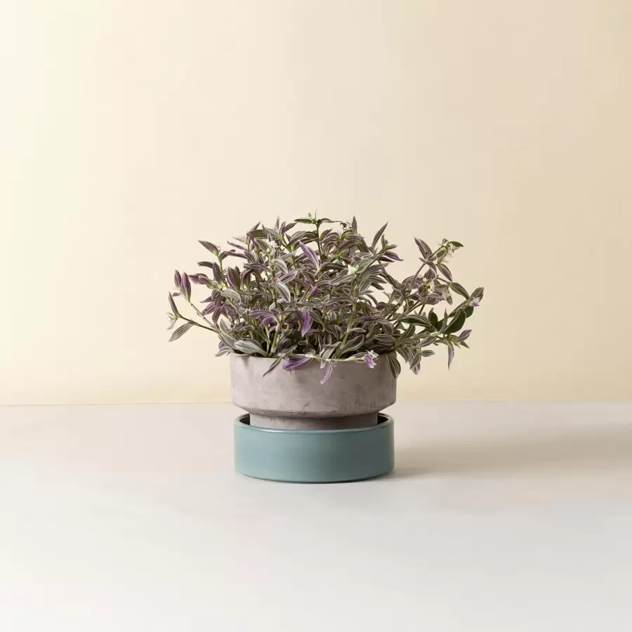 Bergs Potter - Ø:25 Krukke The Hoff Low Pot, Uglaseret Grå - Hent selv