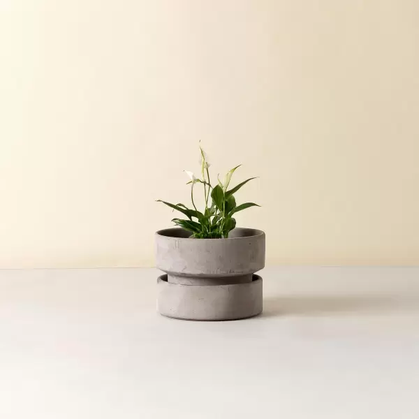 Bergs Potter - Ø:25 Krukke The Hoff Low Pot, Uglaseret Grå - Hent selv Bergs Potter - Ø:25 Krukke The Hoff Low Pot, Uglaseret Grå - Hent selv