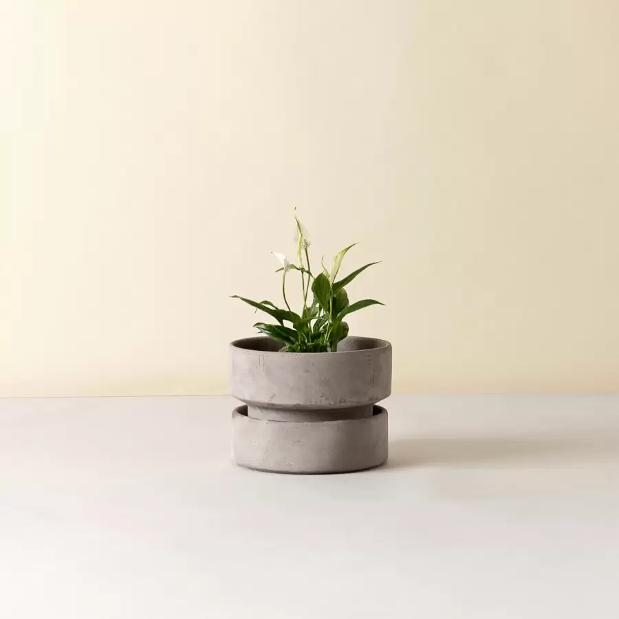 Bergs Potter - Ø:25 Krukke The Hoff Low Pot, Uglaseret Grå - Hent selv